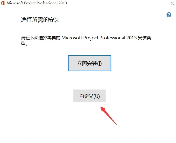 Microsoft Project Professional 2013