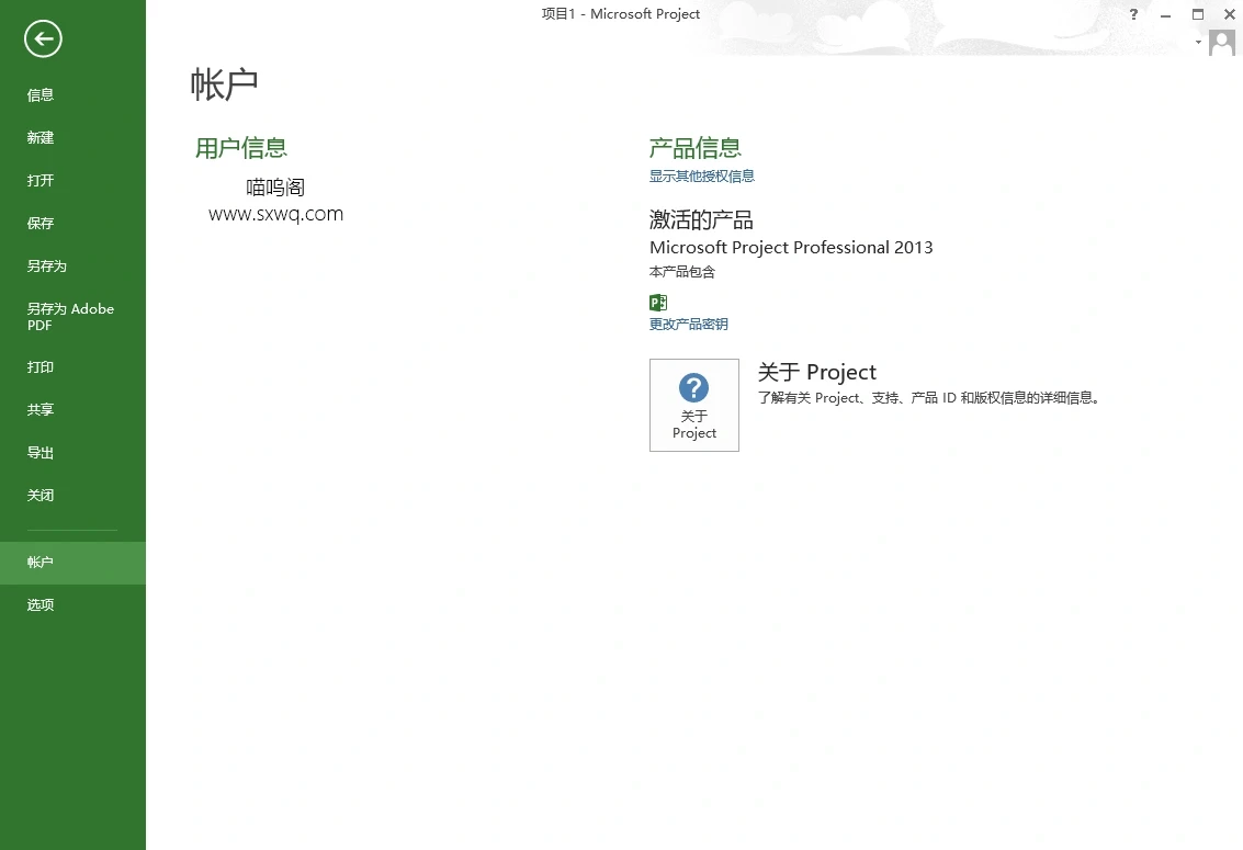 Microsoft Project Professional 2013