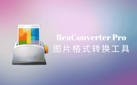 ReaConverter Pro绿色中文版，专业的图片格式转换工具