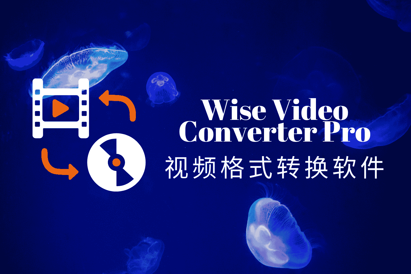 Wise Video Converter Pro：全能视频格式转换与处理神器