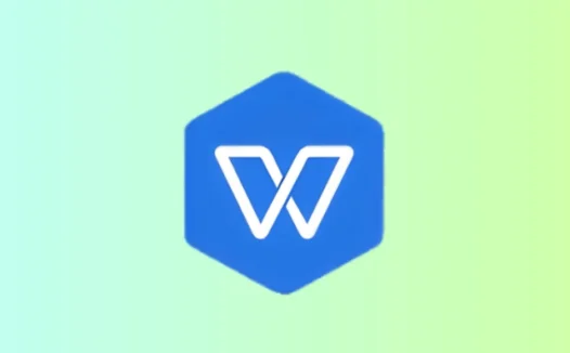WPS Office 2019儋州市机关单位专业版