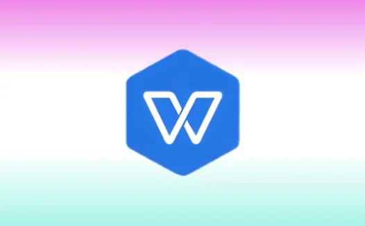 WPS2019洋浦经济开发区机关单位专业版