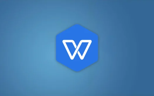 WPS Office 2019 惠州市机关单位版