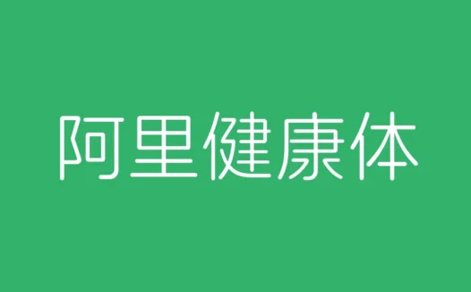 阿里健康体:国内首款服务于视障人士的中文盲文注音定制字体