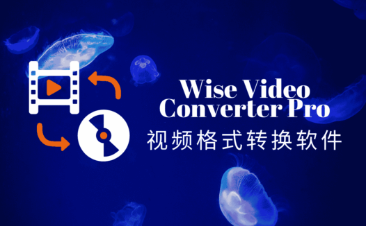 Wise Video Converter Pro:全能视频格式转换与处理神器
