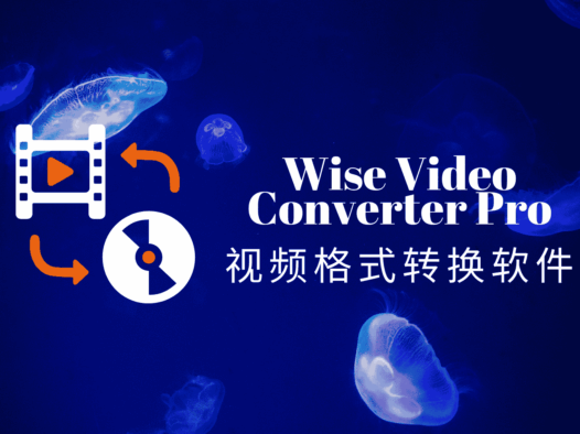 Wise Video Converter Pro：全能视频格式转换与处理神器